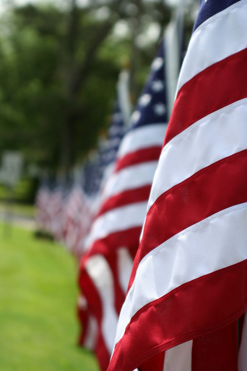 bethmrogers's profile picture. Christian, mom/granny, biker, photographer, writer/reader, designer, pgr, crafter