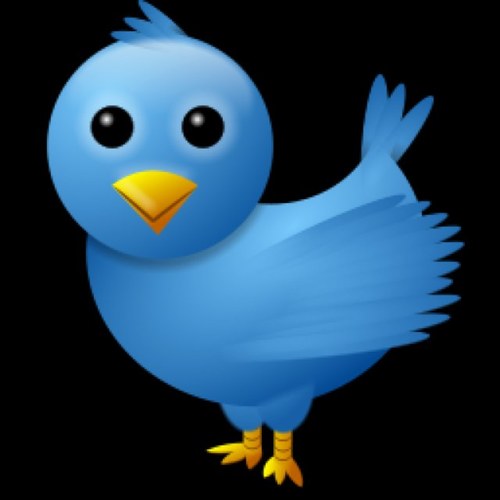Gain followers fast. Just follow me and retweet what I post and you will gain easily 1000 followers within a few days.