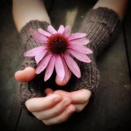 MaLu_BaSi's profile picture. Reddio