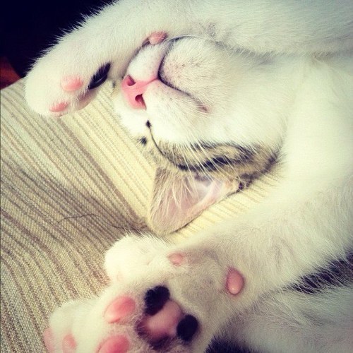 демонически шикарна