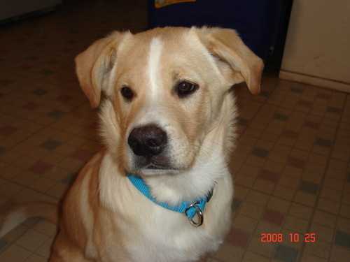 Duchess63's profile picture. 