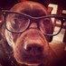 Tim Kowalczyk (@tkaptn) Twitter profile photo