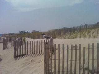 djcoop1326's profile picture. 