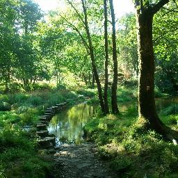 pcostas's profile picture. 