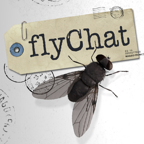 flychat's profile picture. 
