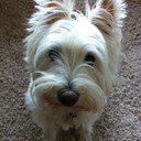 Tim Lowrimore - @TimMoore67 - Twitter