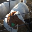 Dylan Cope - @dylsncope - Twitter