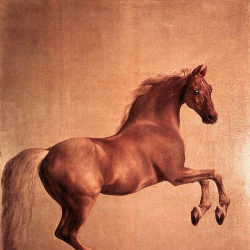 MichelleFoster7's profile picture. Primary teacher, wife and mother. Not necessarily in that order!