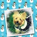 Barbara Castle - @BarbaraCastle3 - Twitter