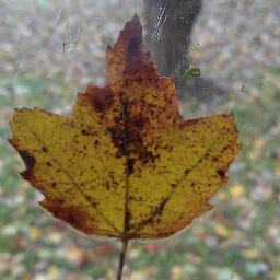 magspie0's profile picture. 