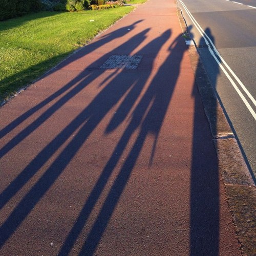 ScriptIllusion Profile Picture