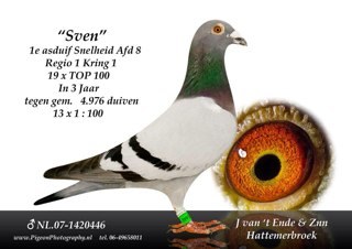 JvantEndeZn's profile picture. wedstrijd duiven