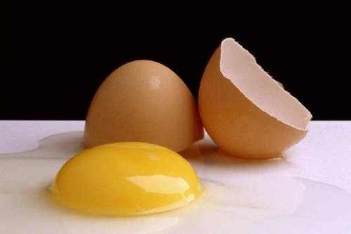 egg.