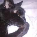 Leanne Waite - @leannemwaite - Twitter