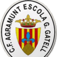 C.F. Agramunt (@cfagramunt) 's Twitter Profile