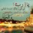 Am_alwaleed11's profile image