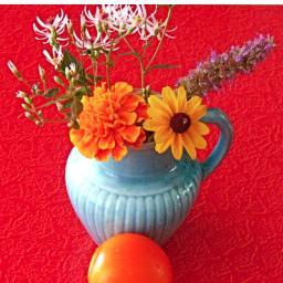 BailaOats's profile picture. writer. editor. collagist. gardener. ocean, boxing, drag + dog-lover.