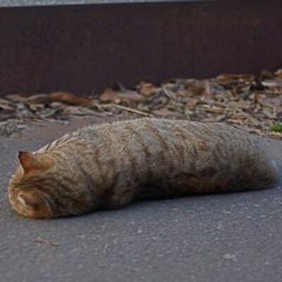 海猫ちゃ ん うわーwww Rt Websk 結婚おめでとう 私達はあなたのことが大好きでした 顔や名前は忘れても私の体 は覚えていてね 光子 美保子 知子 恵美 孝子 未来 泉 彩 他7名 Http Twitpic Com 35c2mr 海猫ちゃ ん うわーwww Rt Websk 結婚おめでとう 私達はあなたのことが大好きでした 顔や名前は忘れても私の体 は覚えていてね 光子 美保子 知子 恵美 孝子 未来 泉 彩 他7名 Http Twitpic Com 35c2mr