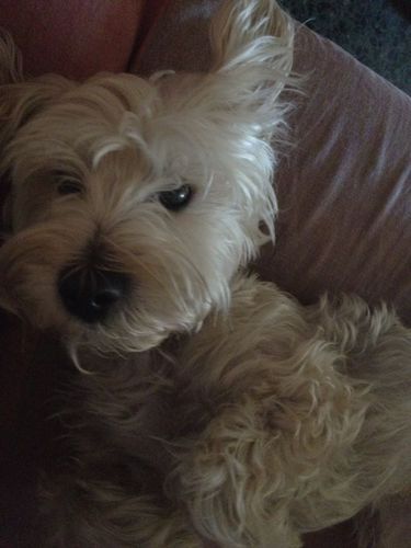 nukyta_'s profile picture. 