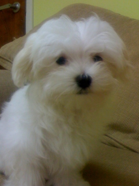 johnnyz4's profile picture. 