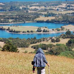 tomasbarrios's profile picture. Software engineer with thoughts -sometimes- not in the trend. Building in public, updates in @tomasbarriosdev