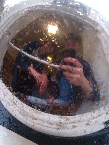 mizbotron's profile picture. 