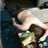marshy96's profile image