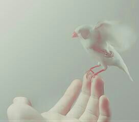 7174Goso's profile picture. 