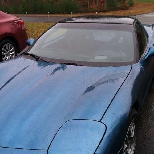 corygunz69's profile picture. 