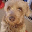 Sue Wainwright - @U2shineon - Twitter