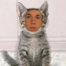 I'm pure purrfectionnnnn. You feline me?