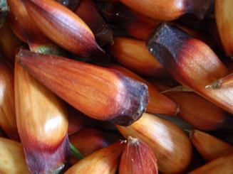 LFSaleh's profile picture. Sou um cara sério. Só isso.