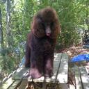 Marilyn Crouse - @bellefleetslexi - Twitter