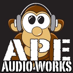 APEAudioWorks's profile picture. Mobile Sound, Lighting and Recording