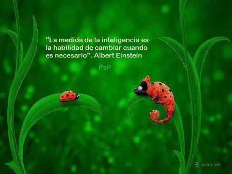 DIRECTOR DE JEAP S.A. /  CONSULTORIA FINANCIERA / LIC. EN CIENCIAS CONTABLES /LIC. EN ADMINISTRACION / MASTER EN ADM DE EMPRESAS ABOGADO / MEDIACION JUDICIAL