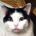 Freddie Sinclair - @freddiebestboy - Twitter