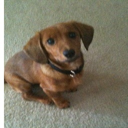 tcmnoles's profile picture. Retired, practical Catholic, Hugh College football fan, Reds, Braves, Browns, Bengals, Dolphins, FSU, Ohio State, ND, UC, Xavier.