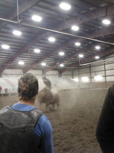 justinbullrider's profile picture. 