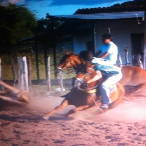 FlavioFilho_'s profile picture. Edificações - IFRN. Meu esporte é Vaquejada!!!