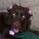 Jan Walter-Bodell - @jan010606 - Twitter