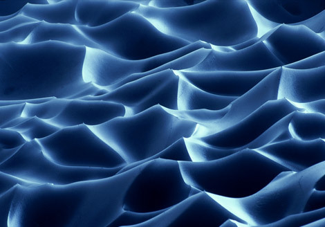 waidan58's profile picture. 