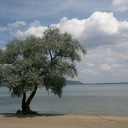 Daniel Labèr - @BoyLabr - Twitter