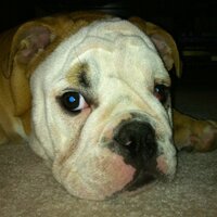 Geoff Lohman (@oblivianislong) 's Twitter Profile