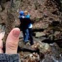 ahmed tawfik ali - @ahmedtawfikali - Twitter