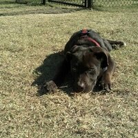 diddypotpie (@diddypotpie) 's Twitter Profile