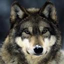 Lucas Ledoux - @llledoux - Twitter