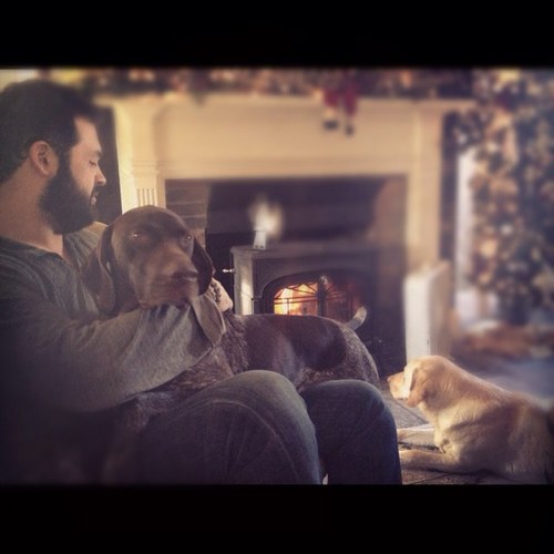 sauerbach1's profile picture. 