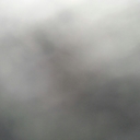 Barbara Flock - @Barb323Flock - Twitter