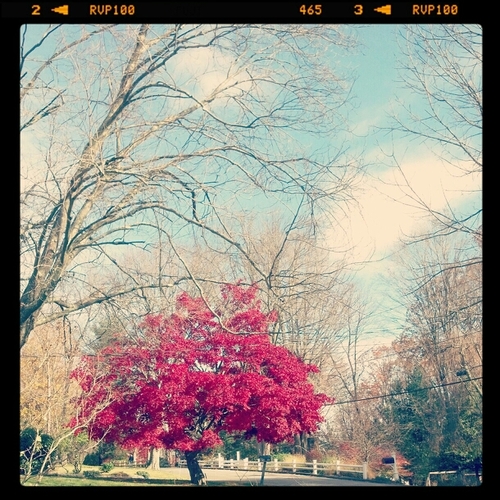 BlueMaik's profile picture. 