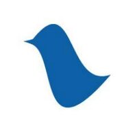 Rachel Whaley (@raywhay) 's Twitter Profile